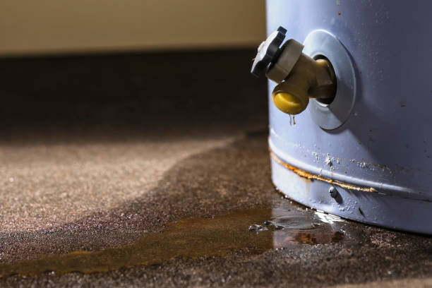 Best Residential water damage restoration  in Old Hill, CT