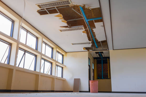Best Carpet water damage restoration  in Old Hill, CT
