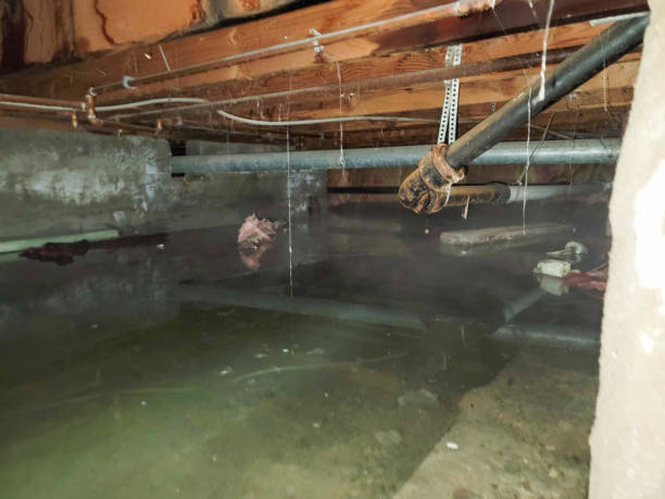 Best 24-hour water damage restoration  in Old Hill, CT