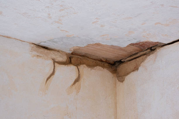 Best Ceiling water damage repair  in Old Hill, CT