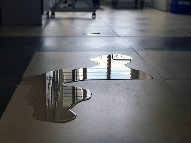 Best Water damage restoration company  in Old Hill, CT