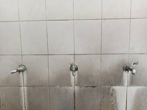 Best Water damage contractors near me  in Old Hill, CT