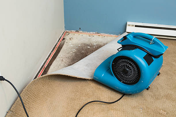Best Water damage restoration near me  in Old Hill, CT